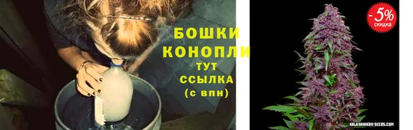 спиды Армянск